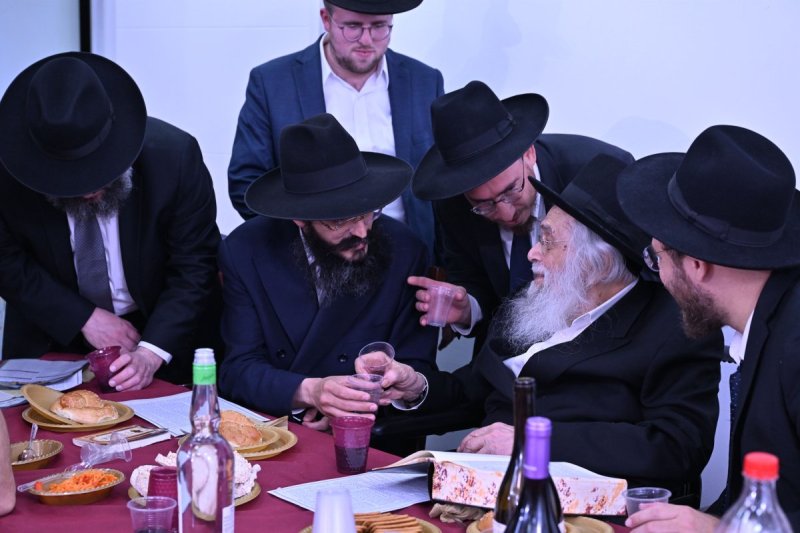 ליפא מוזר
