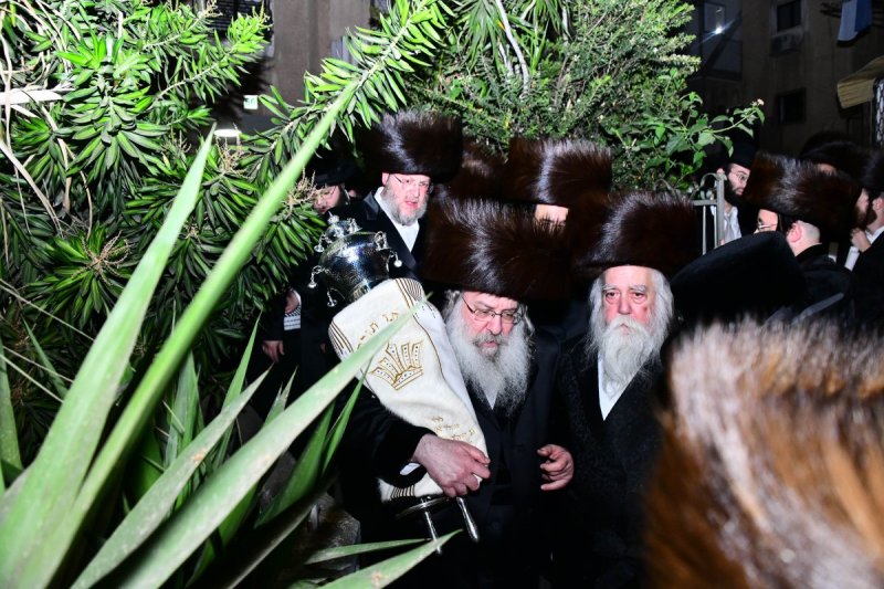 שוקי לרר