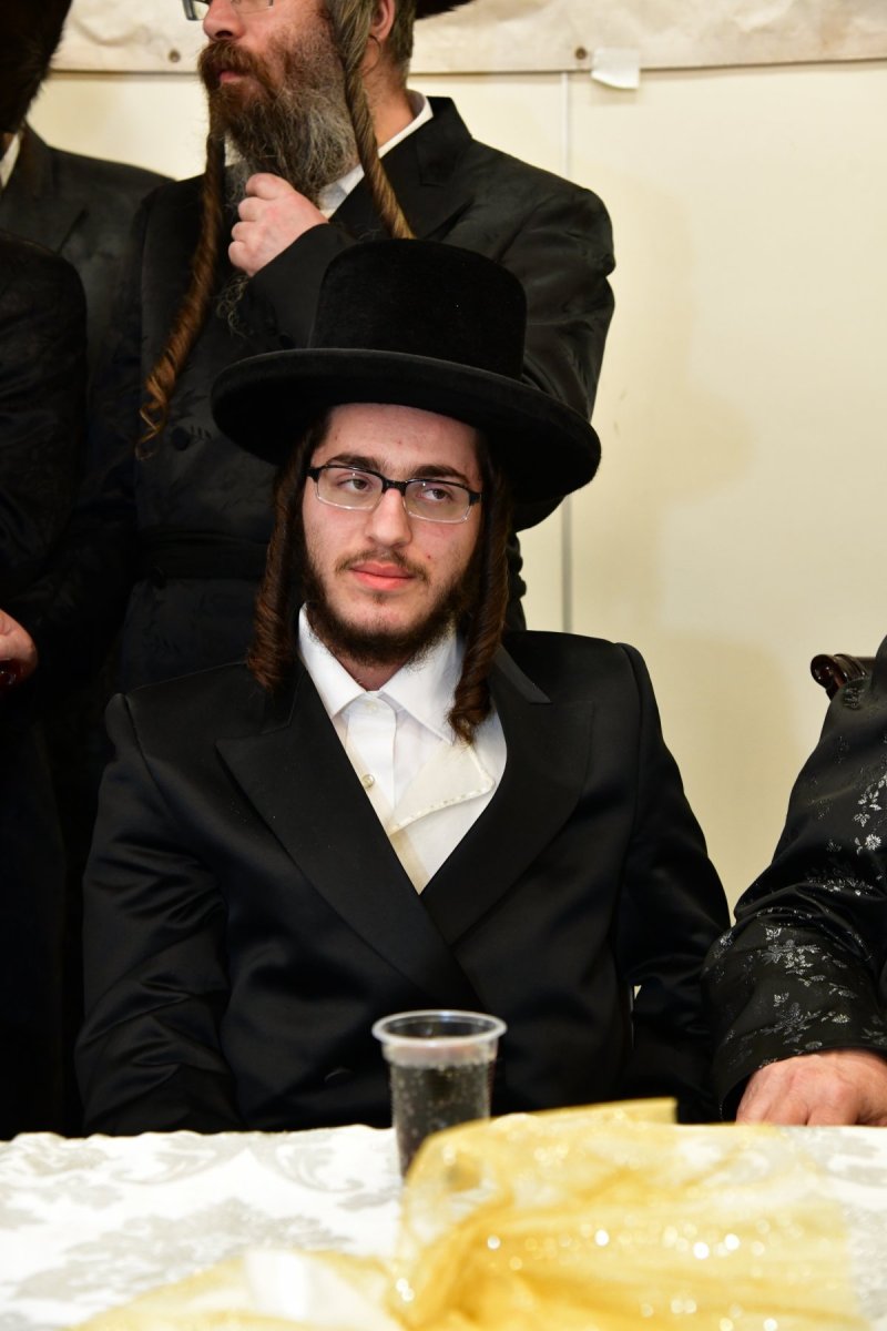 יוסי לוי