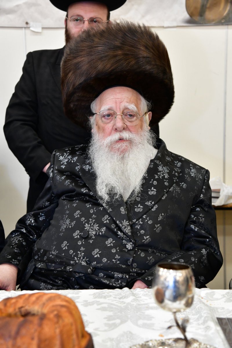 יוסי לוי