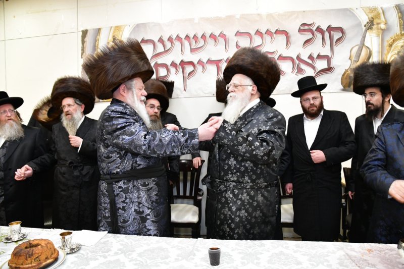 יוסי לוי