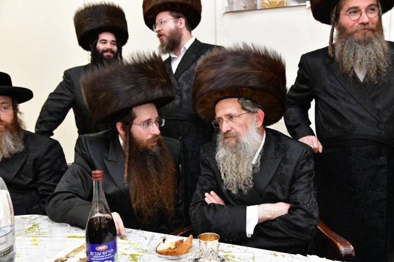 יוסי לוי