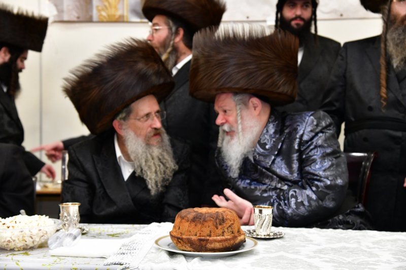 יוסי לוי