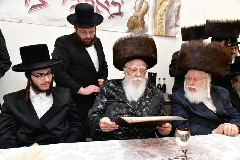 יוסי לוי