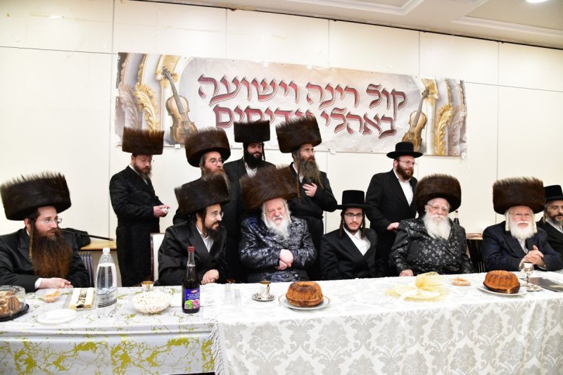יוסי לוי