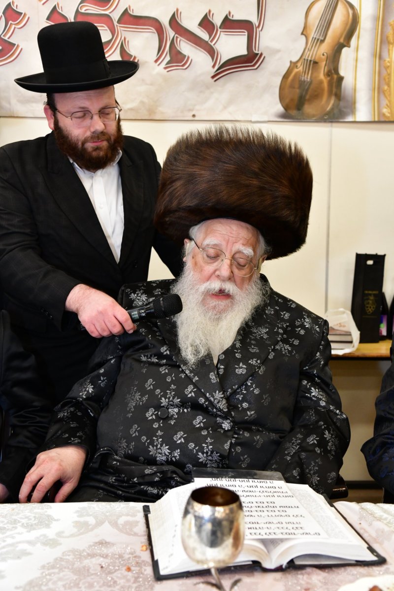 יוסי לוי