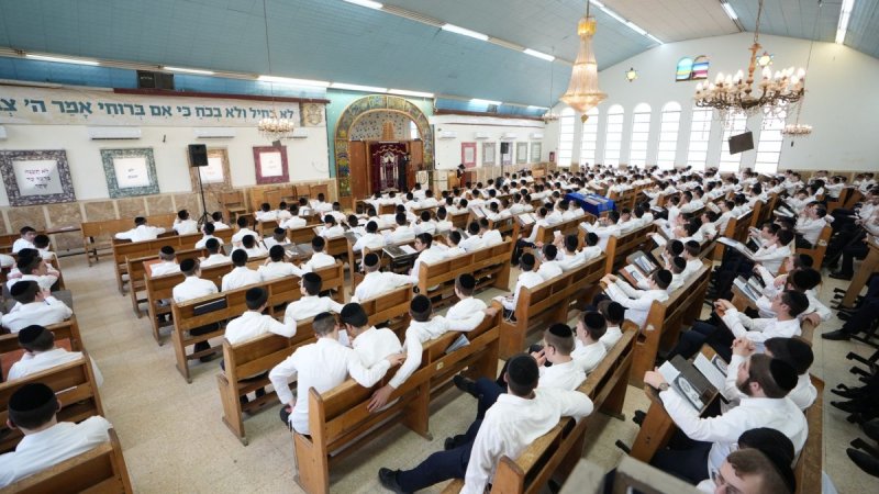 ישראל כהן