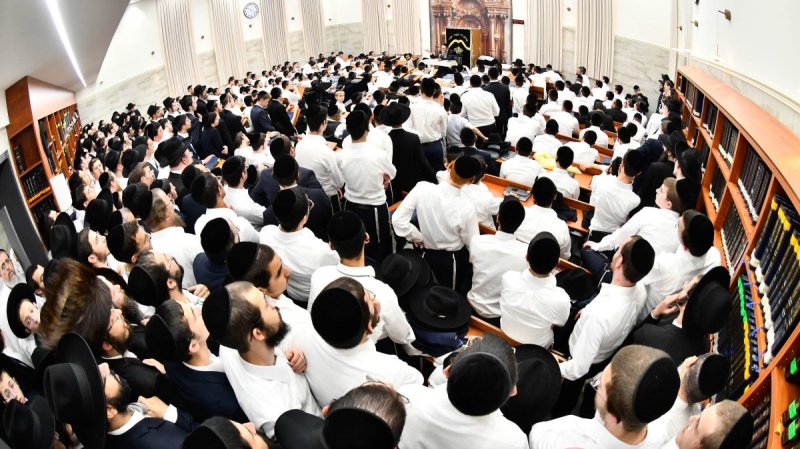 שוקי לרר