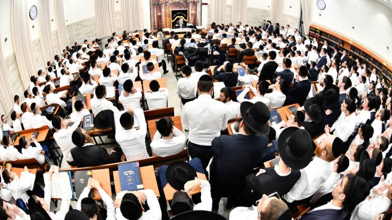 שוקי לרר