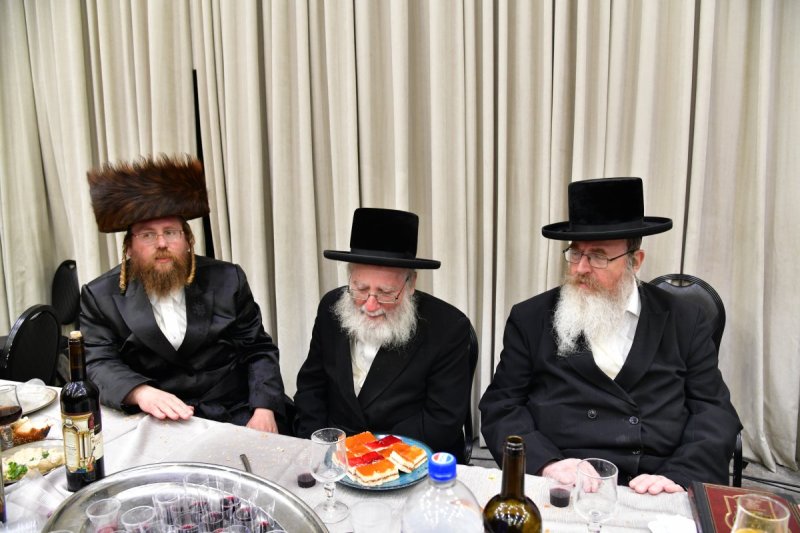 יוסי לוי