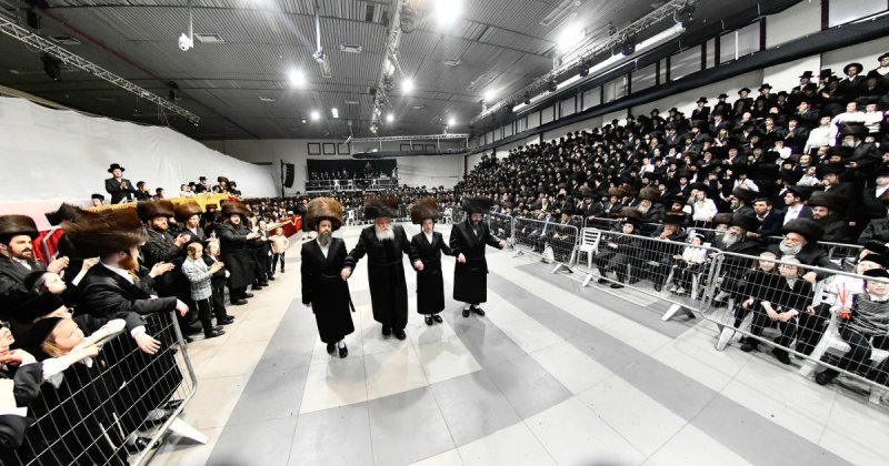 שוקי לרר