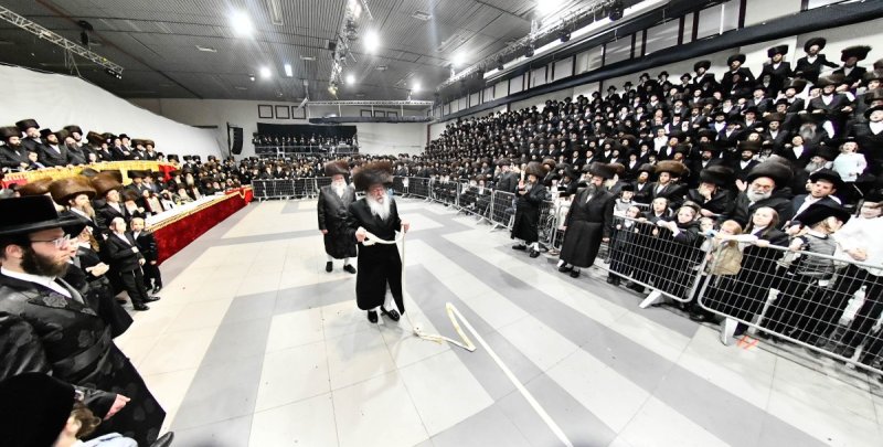 שוקי לרר
