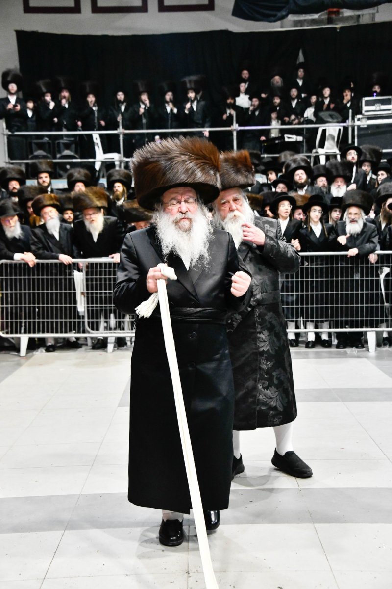 שוקי לרר