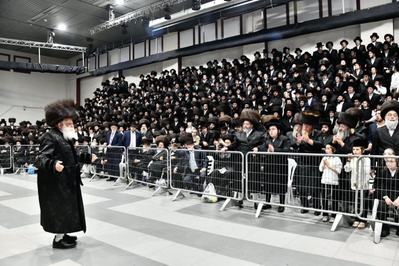 שוקי לרר