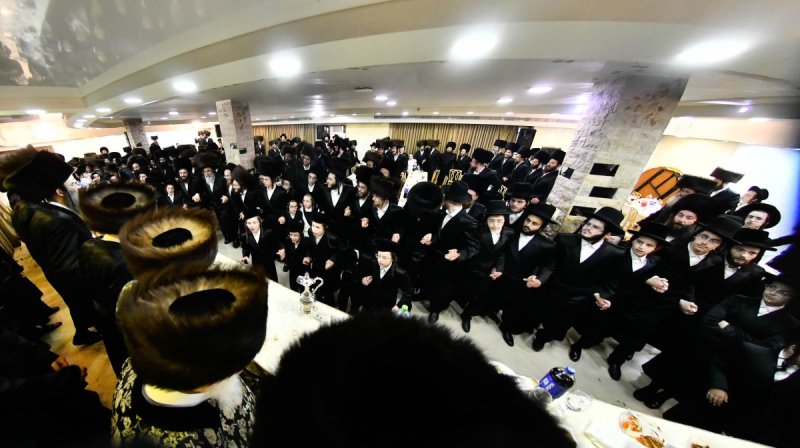 שוקי לרר