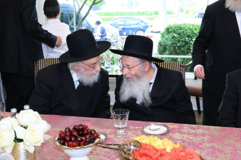 אלי קובין