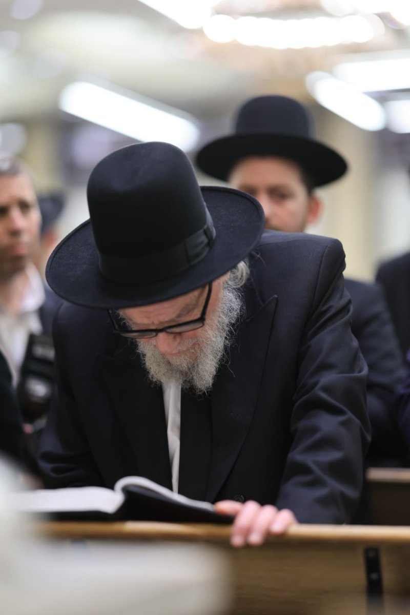 אלי קובין