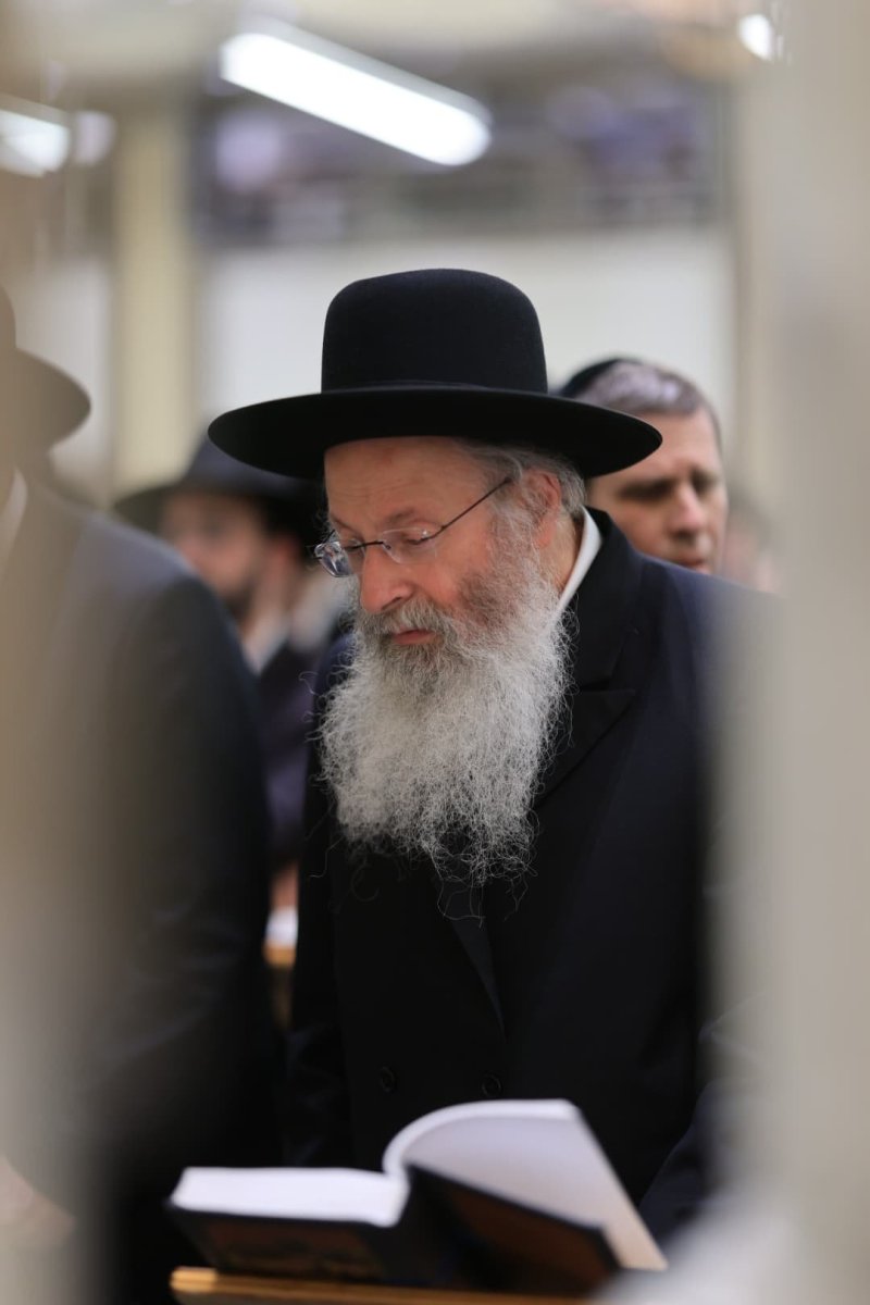 אלי קובין