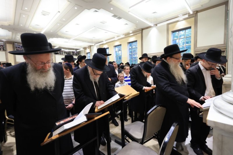 אלי קובין