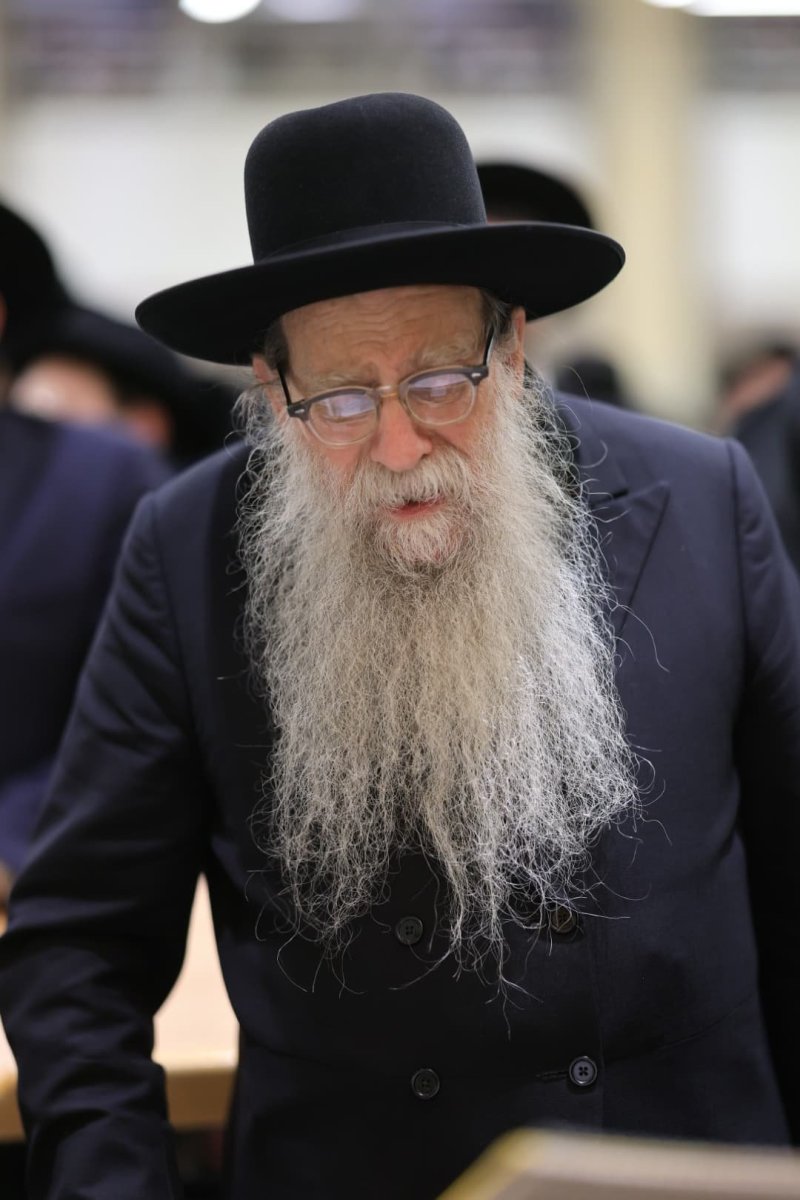 אלי קובין