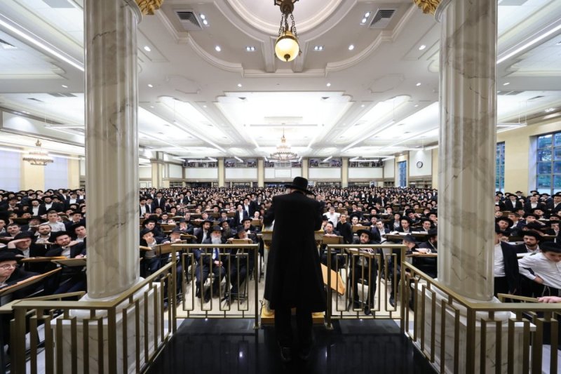 אלי קובין
