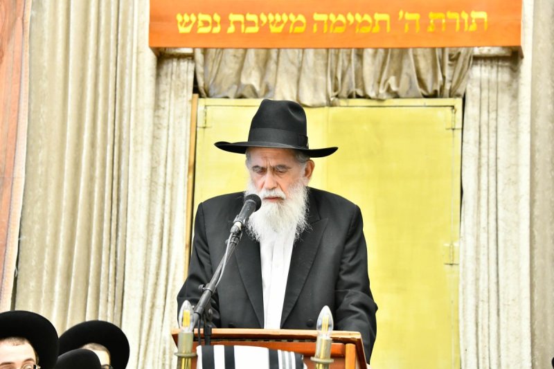 שוקי לרר