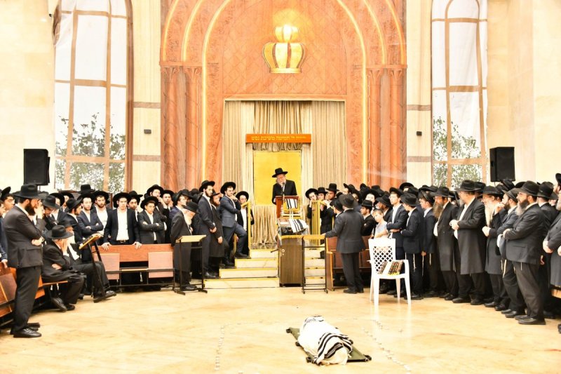 שוקי לרר