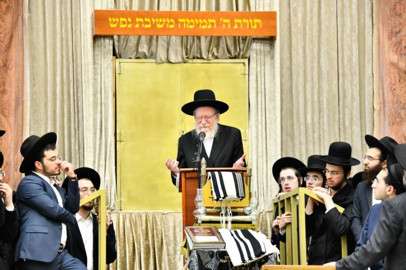 שוקי לרר