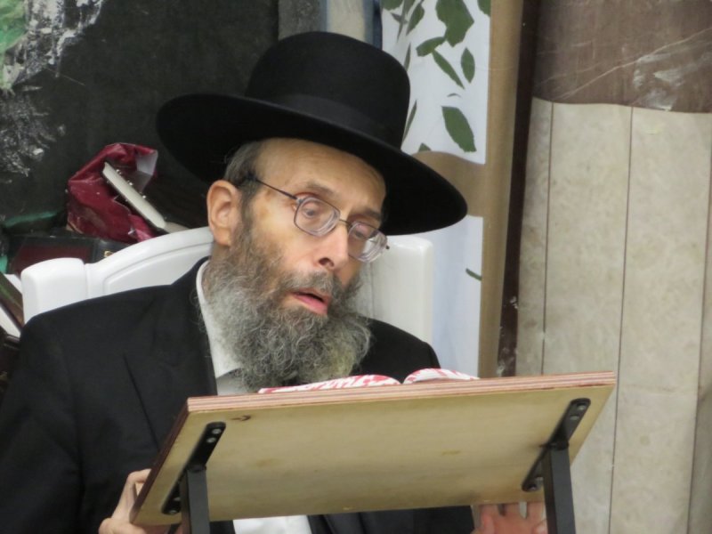  שוקי לרר, ש.פ.ה, מערכת משולחנם, ארכיון