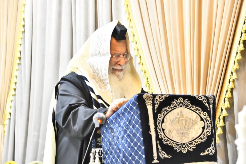 שוקי לרר