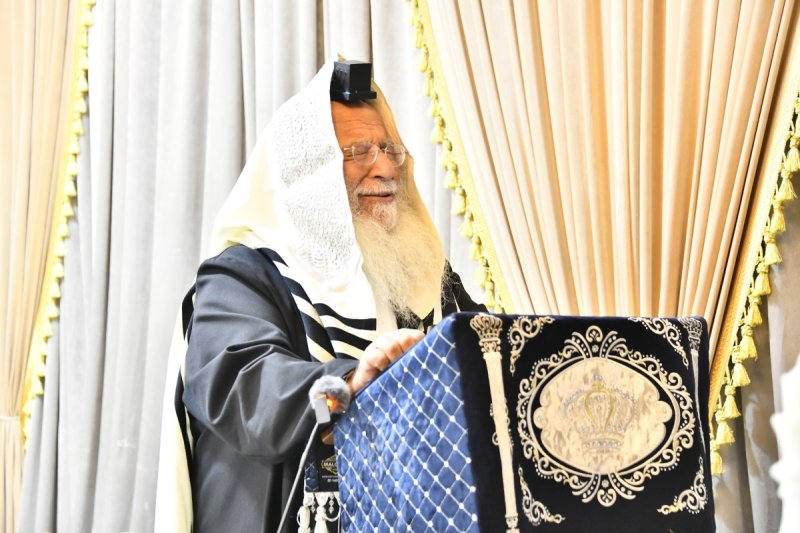 שוקי לרר