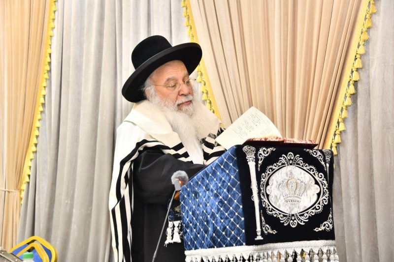 שוקי לרר