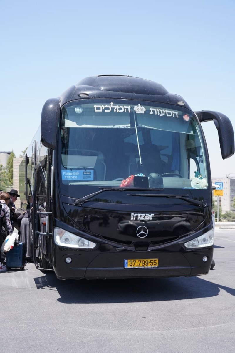 ארגון צדק