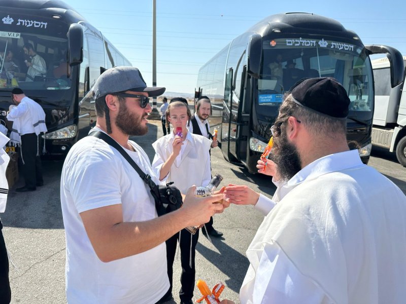 ארגון צדק