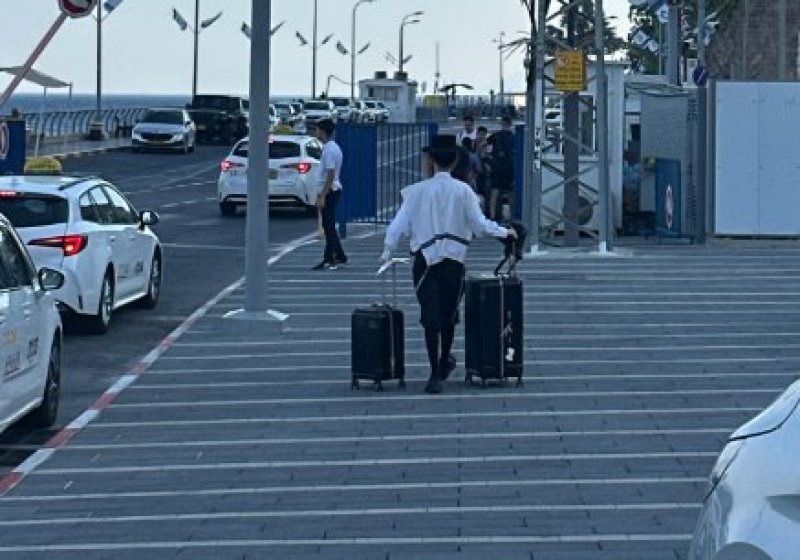 ארגון צדק