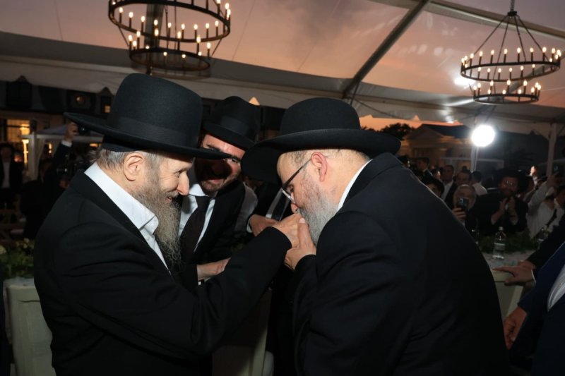 אלי קובין