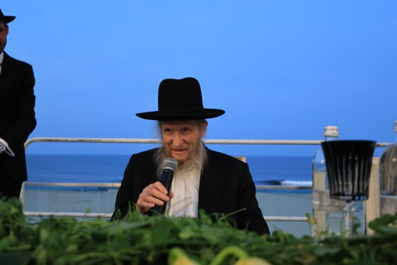 אלי קובין