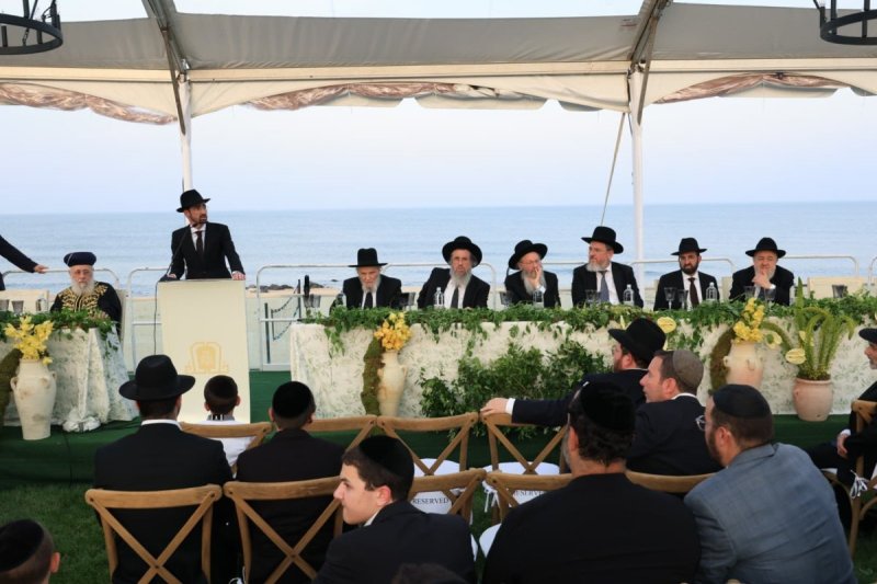 אלי קובין