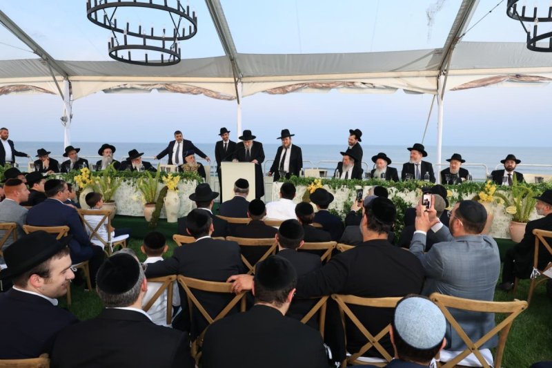 אלי קובין