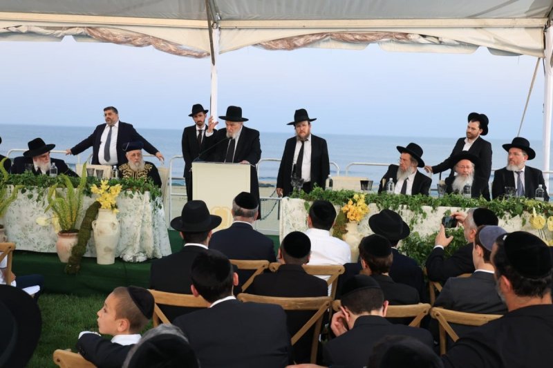 אלי קובין