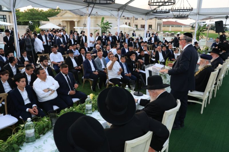 אלי קובין