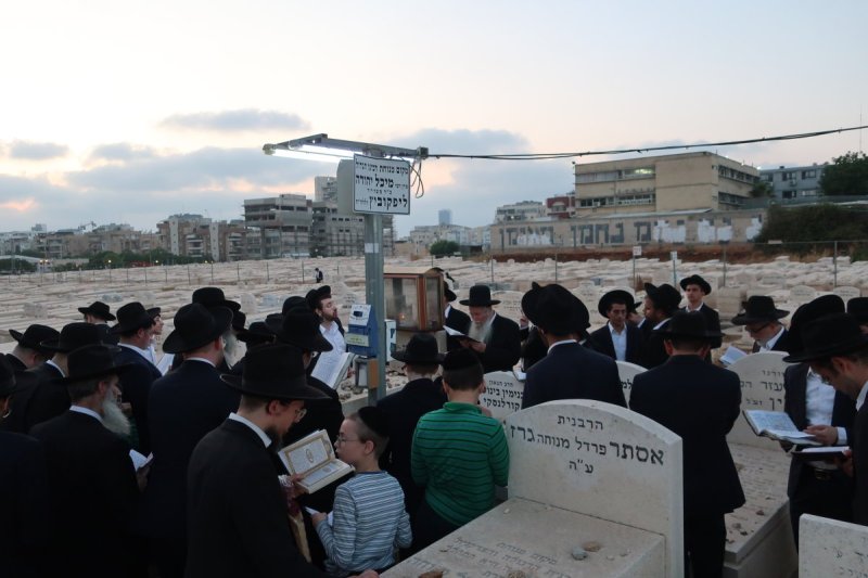 ש.פ.ה