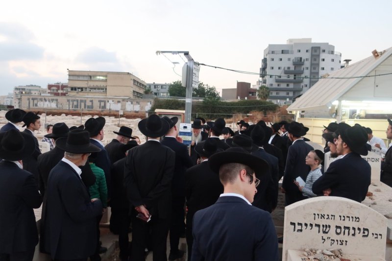 ש.פ.ה