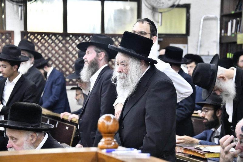 שוקי לרר