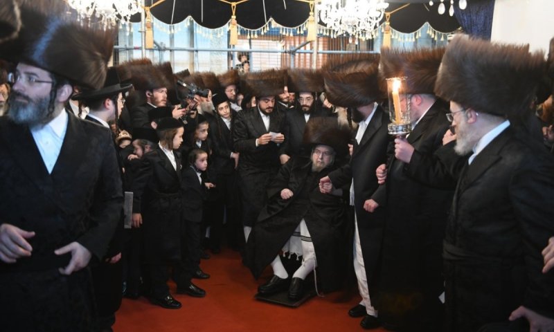 תיעוד ענק ומסכם: כל ימי השמחה בחתונת נכדת האדמו"ר מבעלזא 