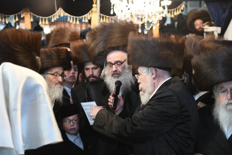 אנשיל בעק