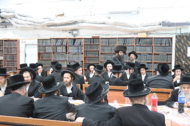 ש.פ.ה