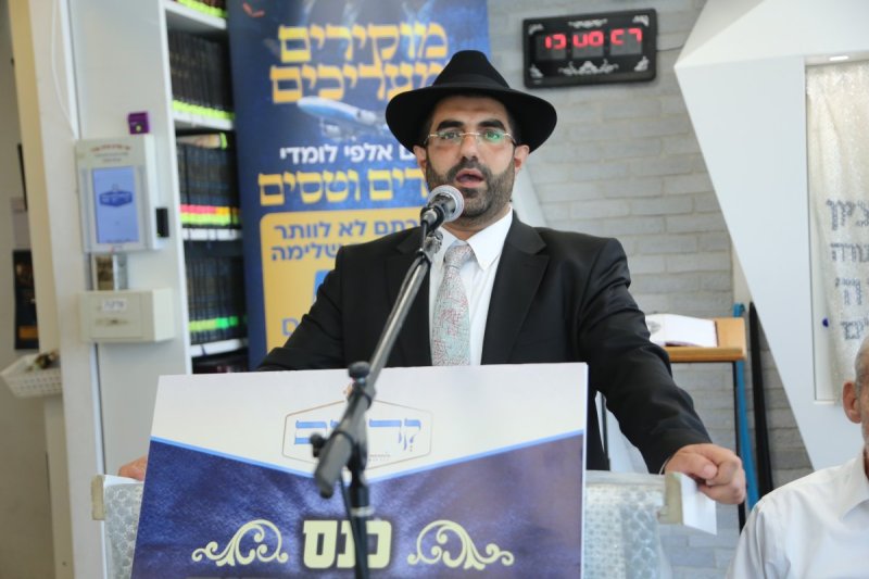 דוד קשת