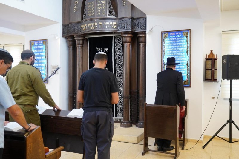 דו"צ