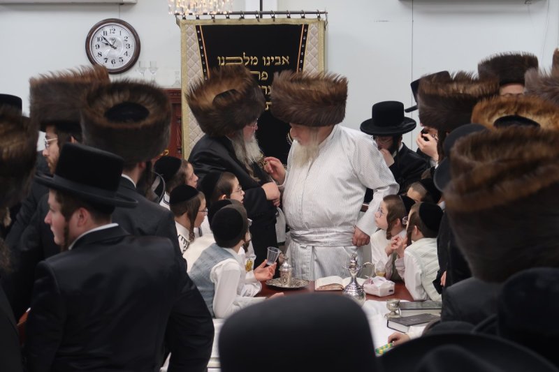 שימי פ.